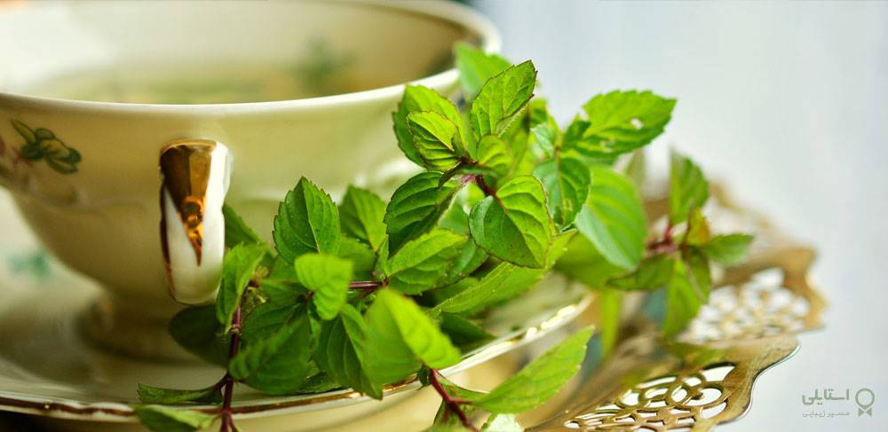 چای نعناع اکسیری شفابخش: ۱۲ مزیت + طرز تهیه